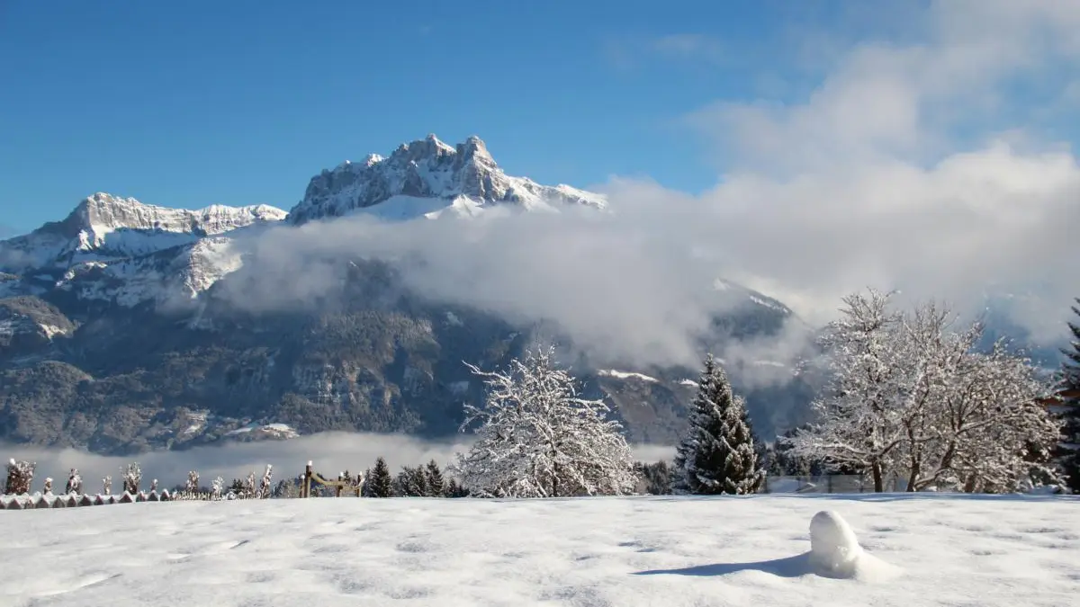 Vue depuis la terrasse en Hiver