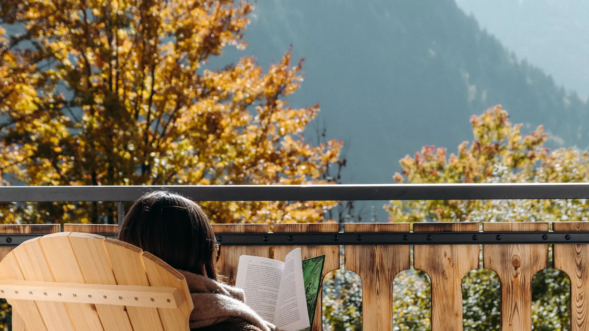 Image vue balcon Chalet Flachaire