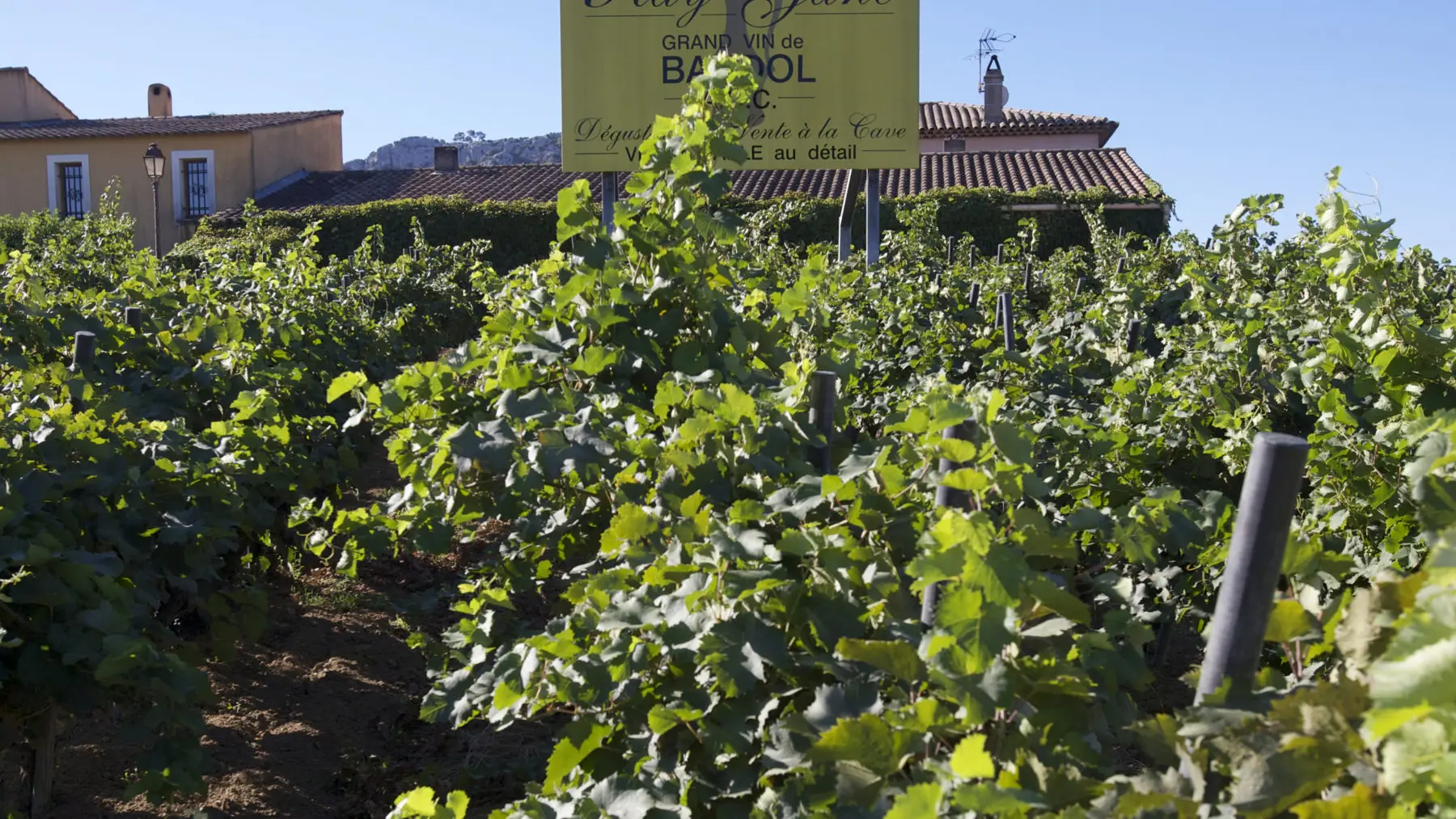 Domaine Ray Jane - Le Castellet