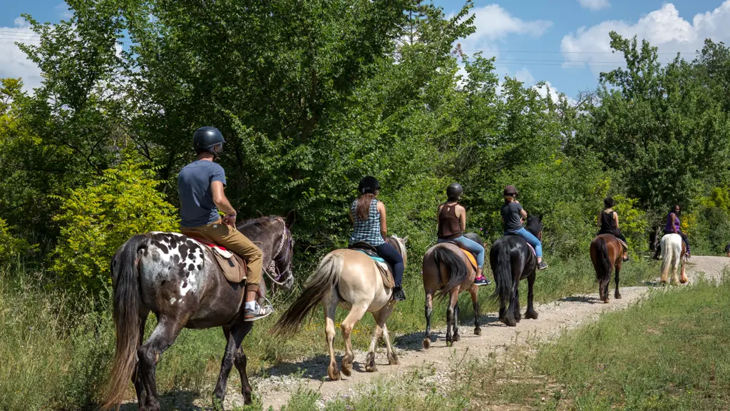 Balade à cheval Réserve de Fondurane