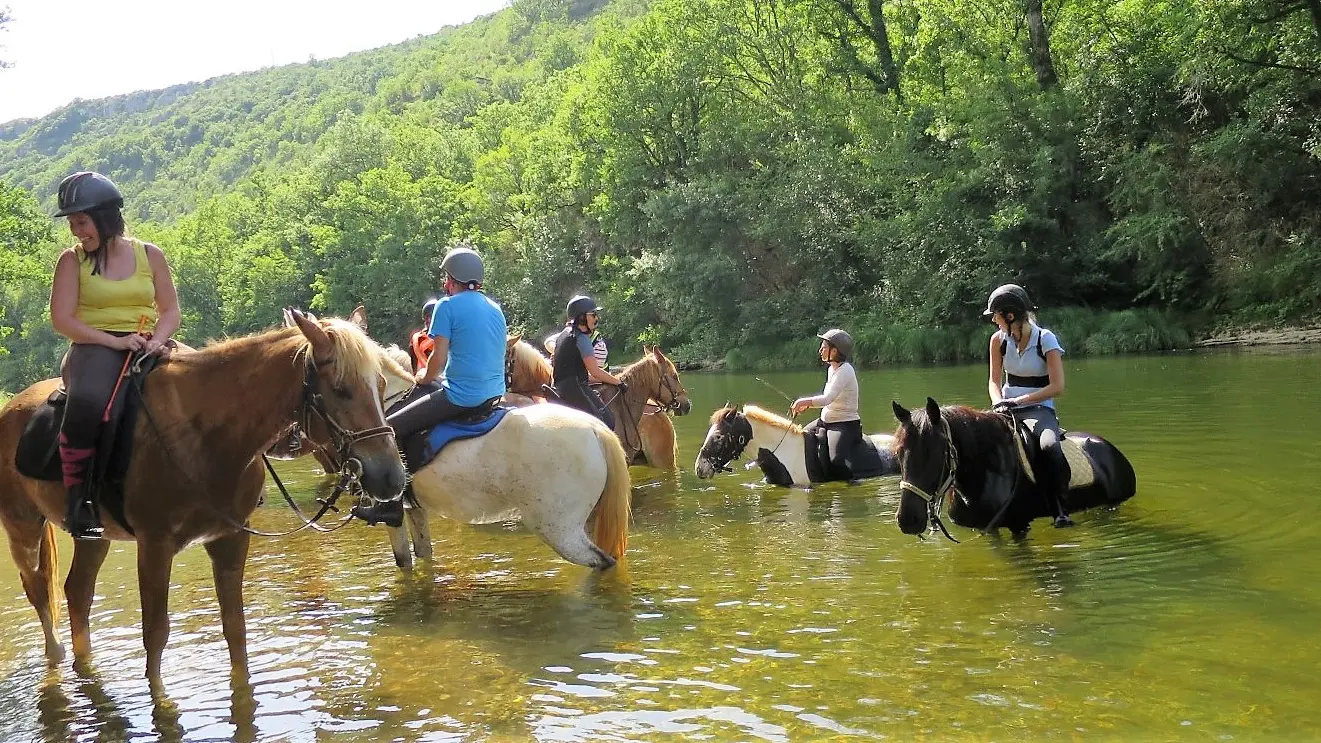 Domaine équestre des Bastides