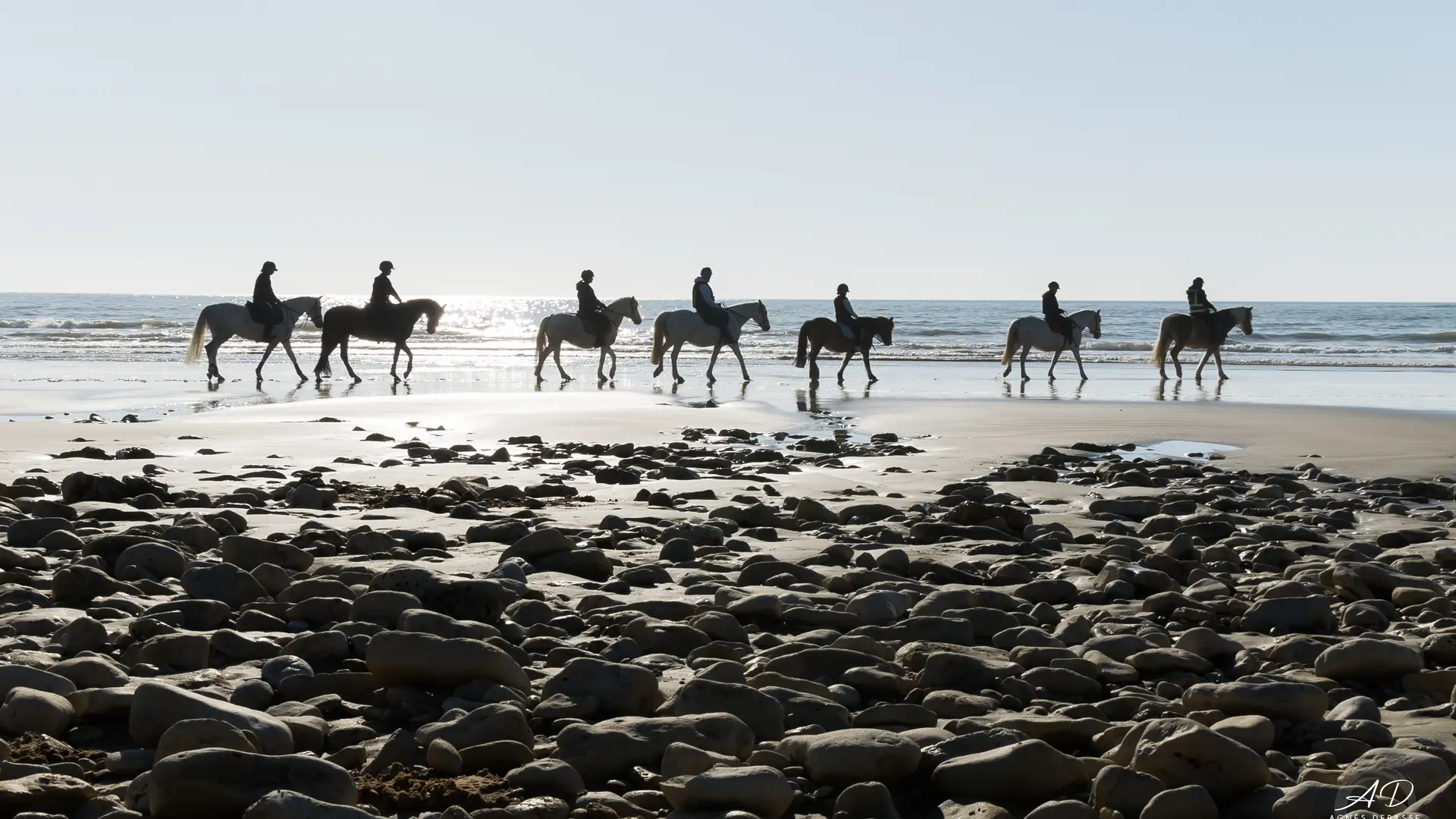 Balade sur la plage