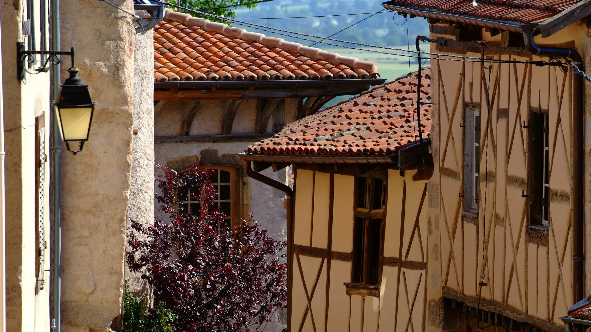 Saint-Haon-Le-Chatel