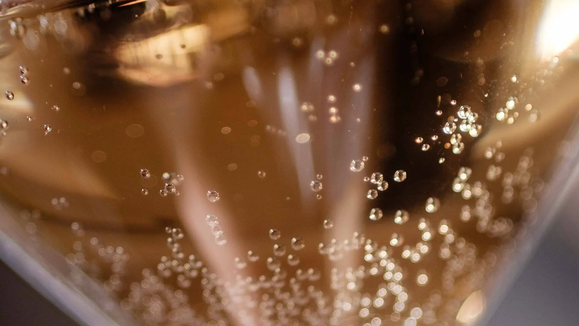 L'effervescence du champagne