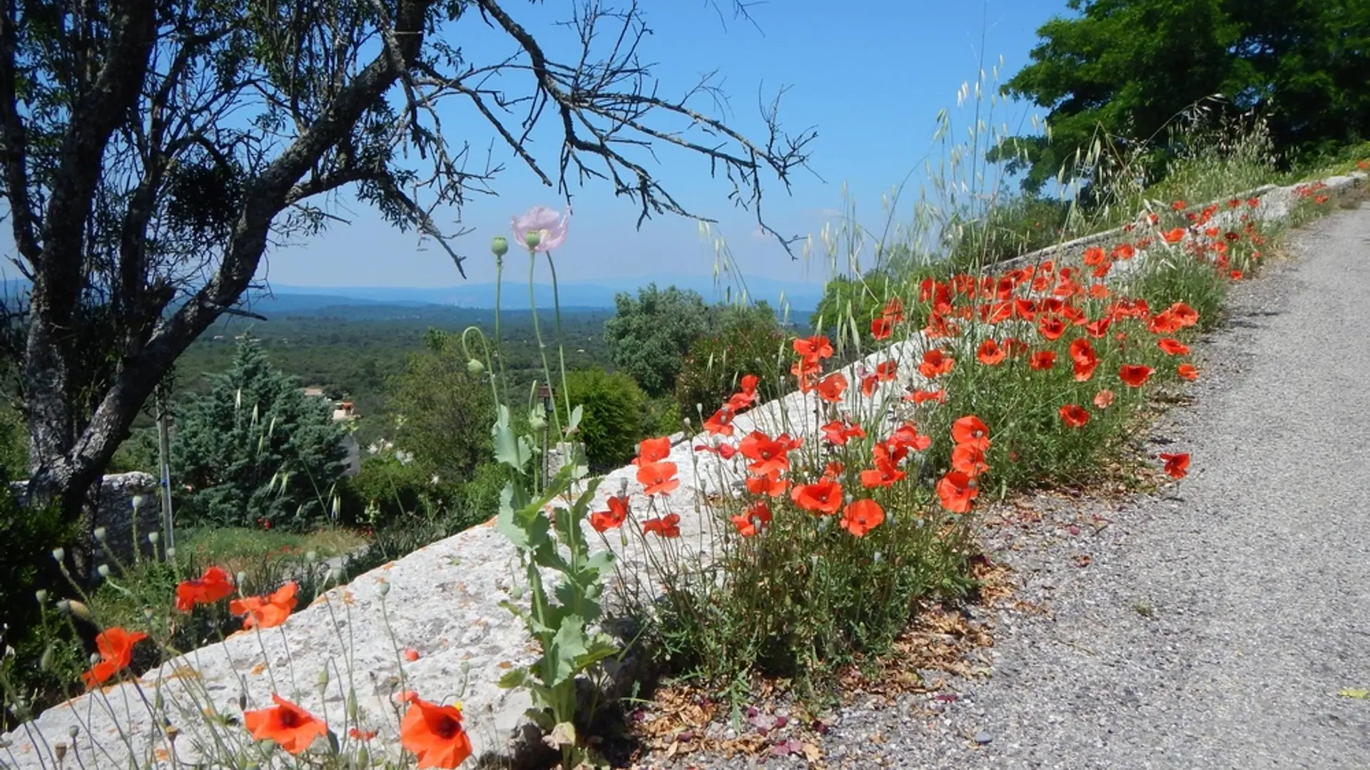 La montée du vieux village