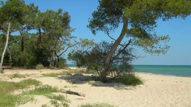 Plage de Trousse Chemise