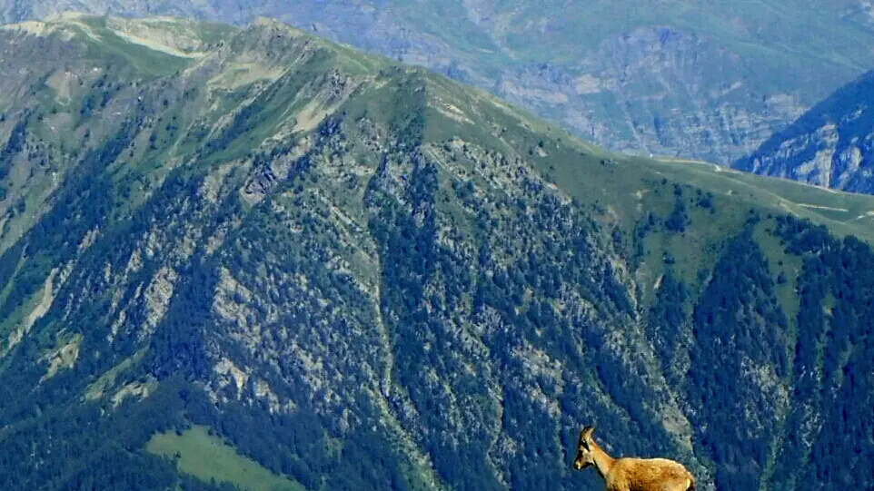 Céline Desmet - Accompagnatrice en montagne