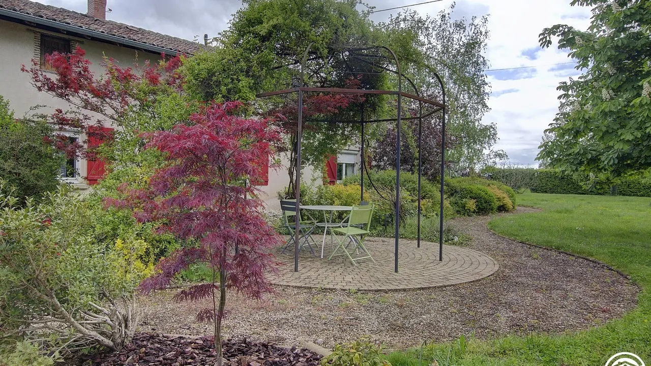 kiosque recouvert par un rosier et un érable rouge