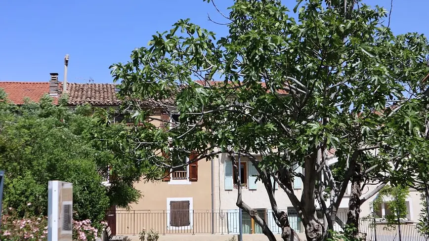 Le Jardin des Figuiers