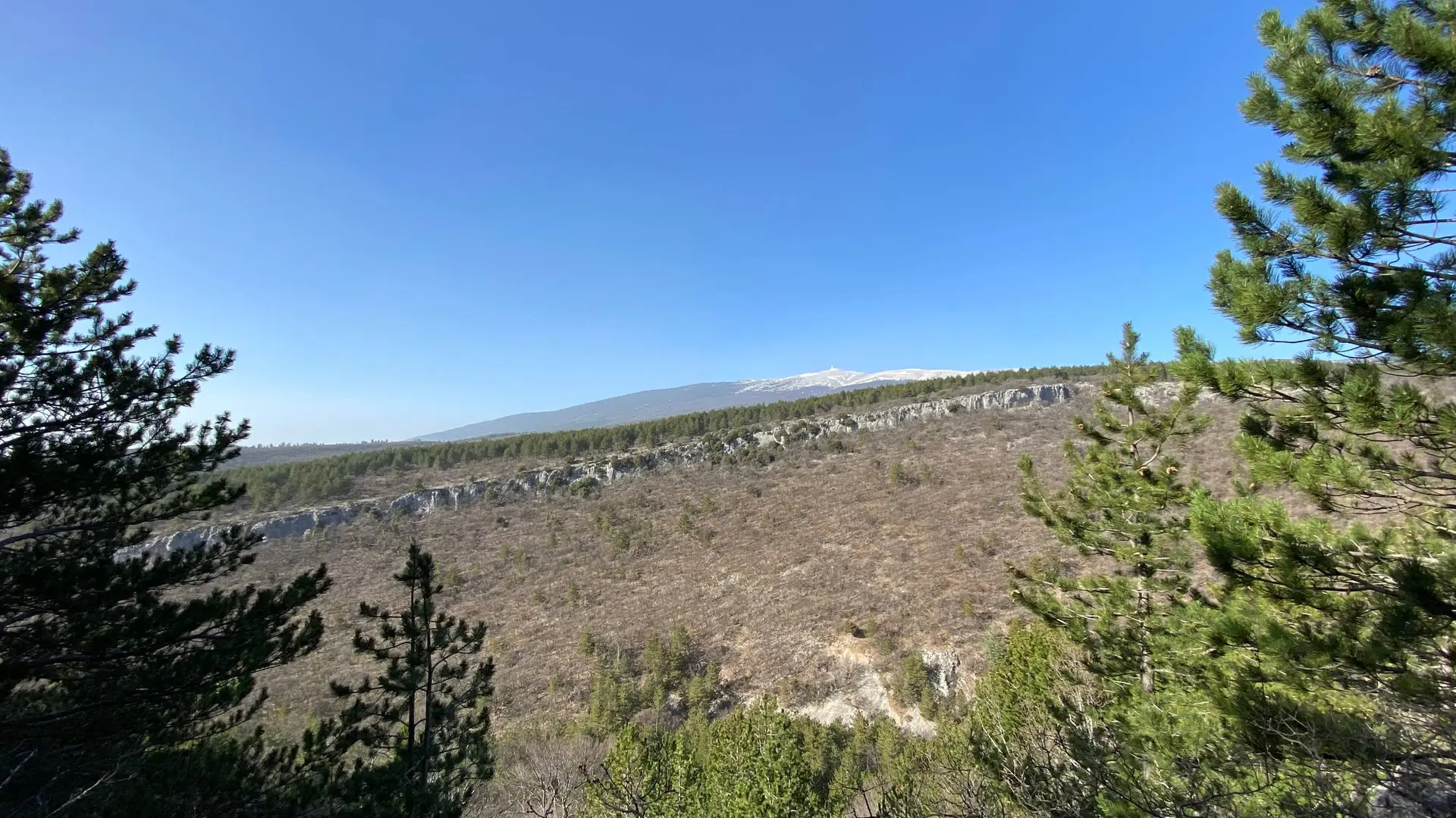 Vue sur le Géant de Provence
