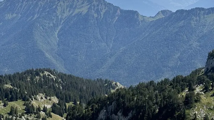 Randonnée pédestre : La Petite Sambuy via la piste forestière_Faverges-Seythenex