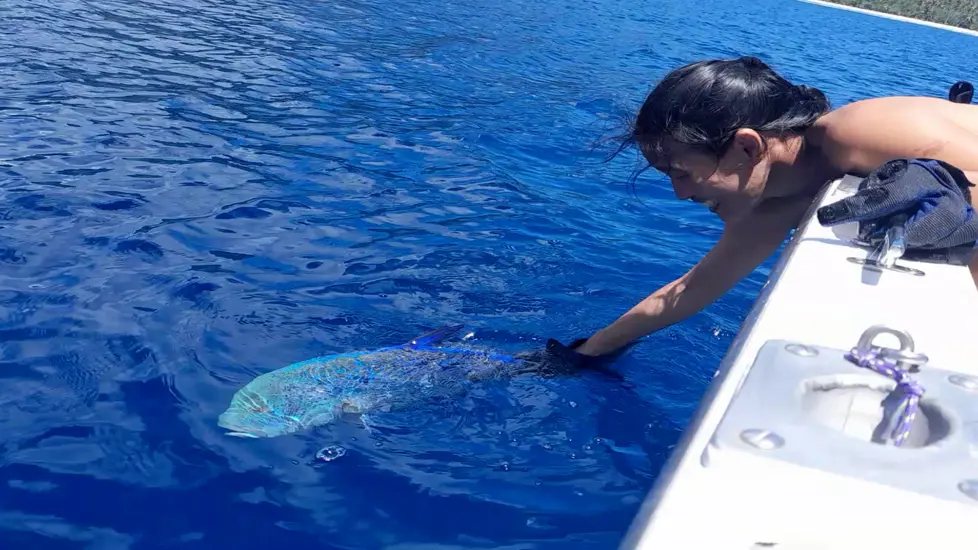 Moorea Sunrise Fishing