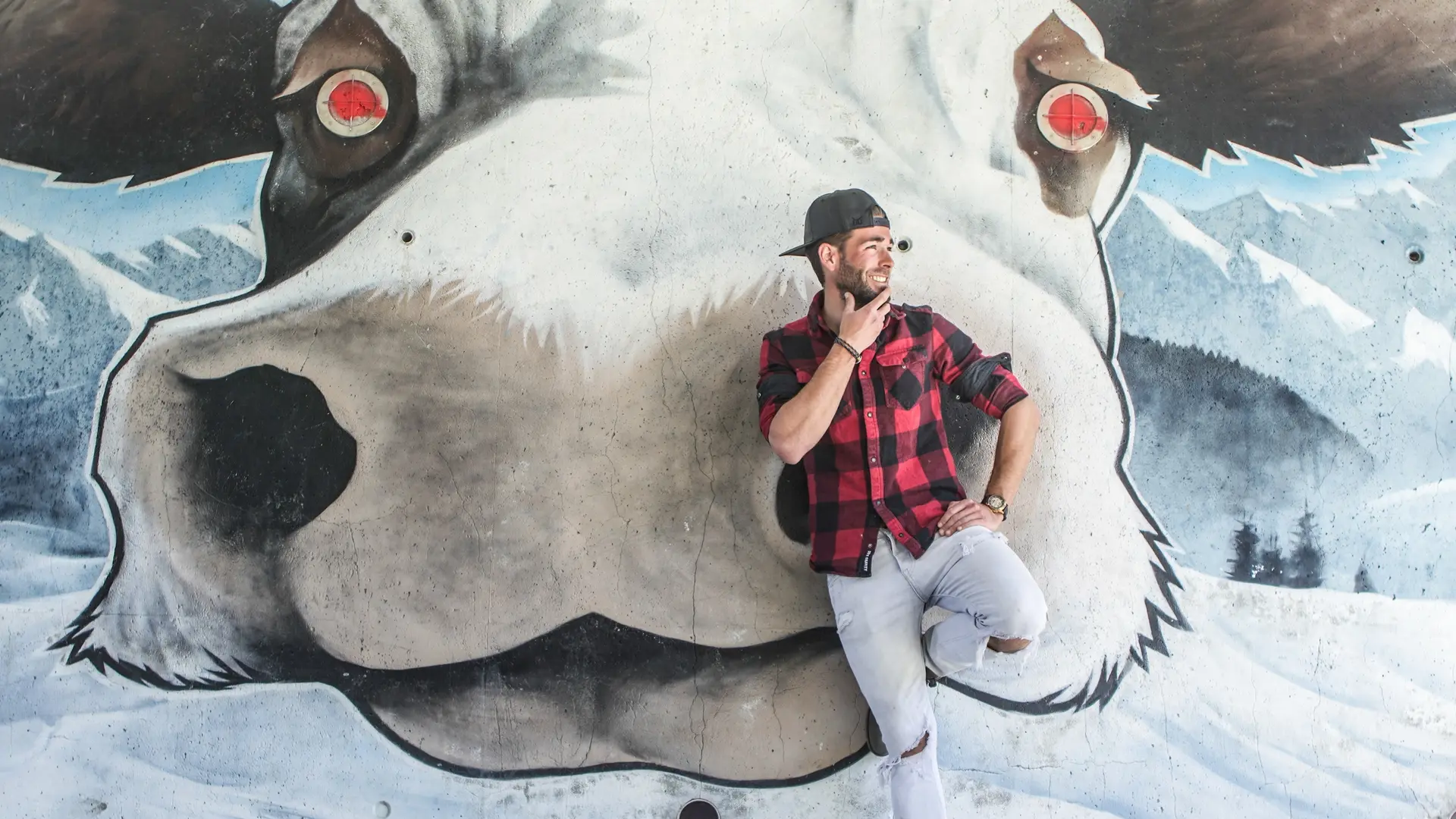 Art Vache