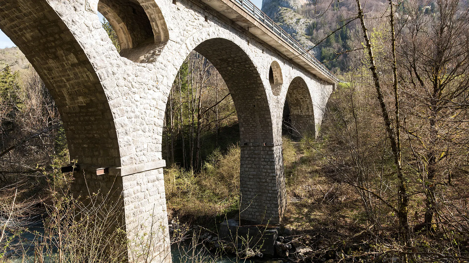 Pont de la Tassonnière