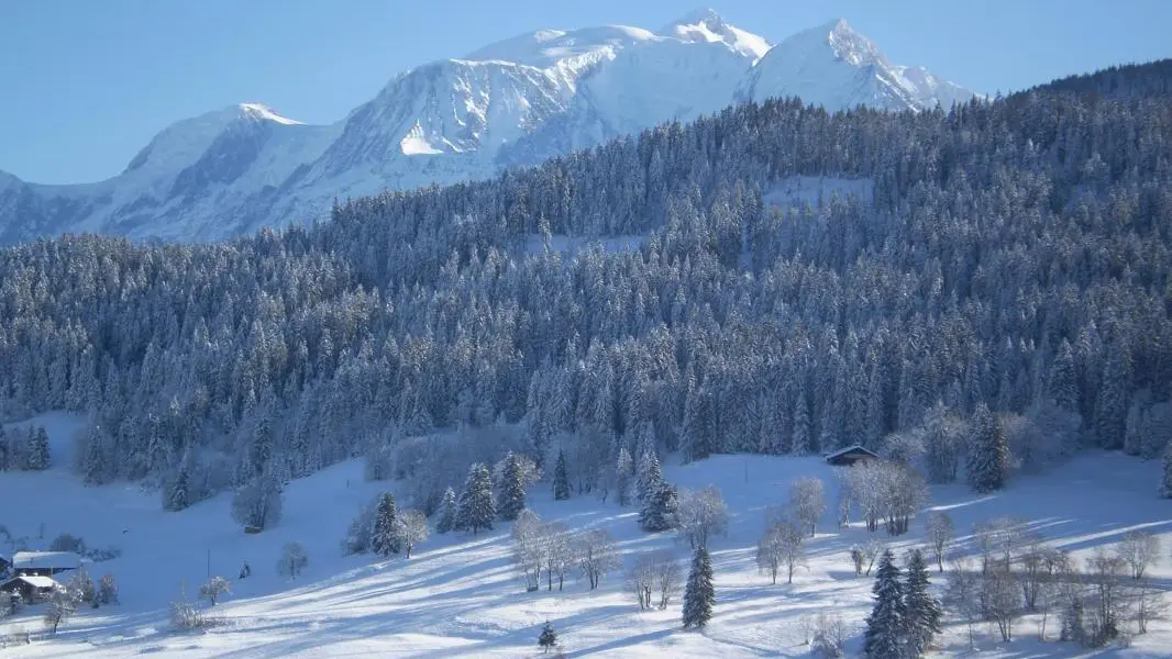Vue depuis le chalet sur le Mont-Blanc