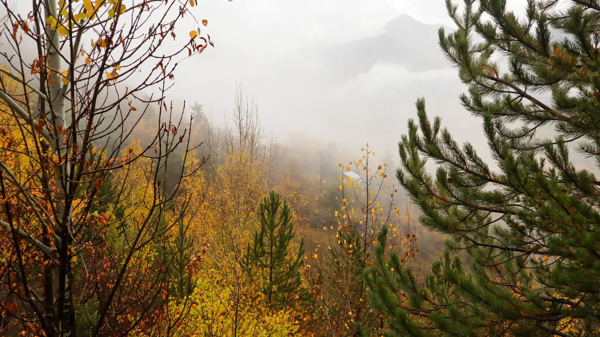 Sentier d'Art Puy-Saint-André