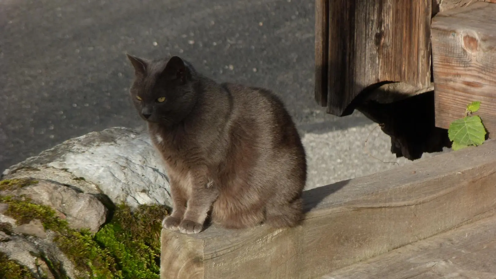 La Minette