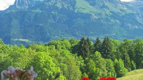 Vue du chalet
