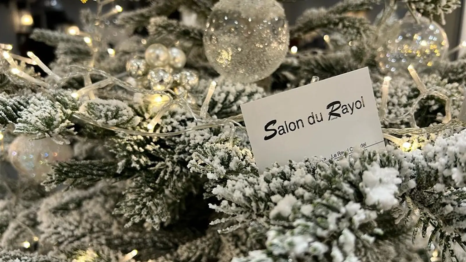 Salon du Rayol