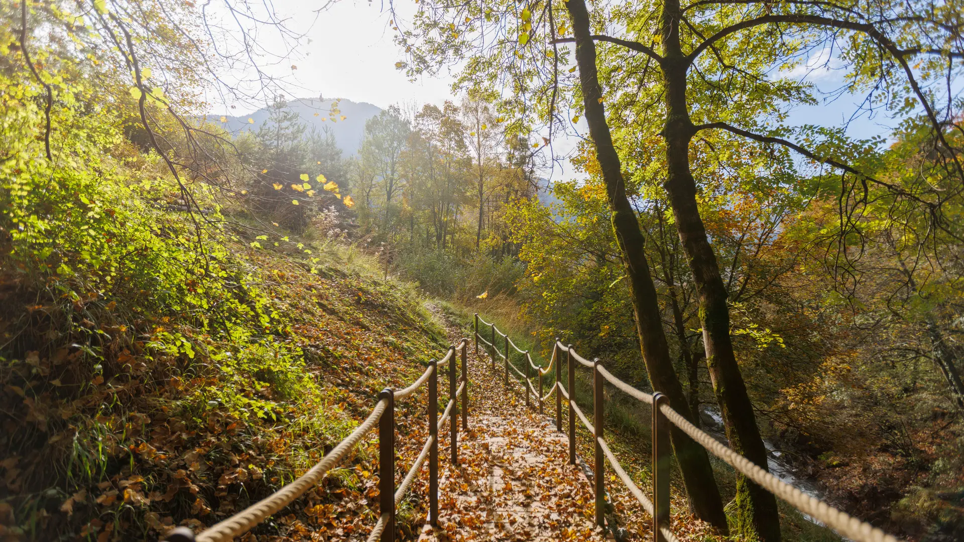 Accès aménagé à la cascade