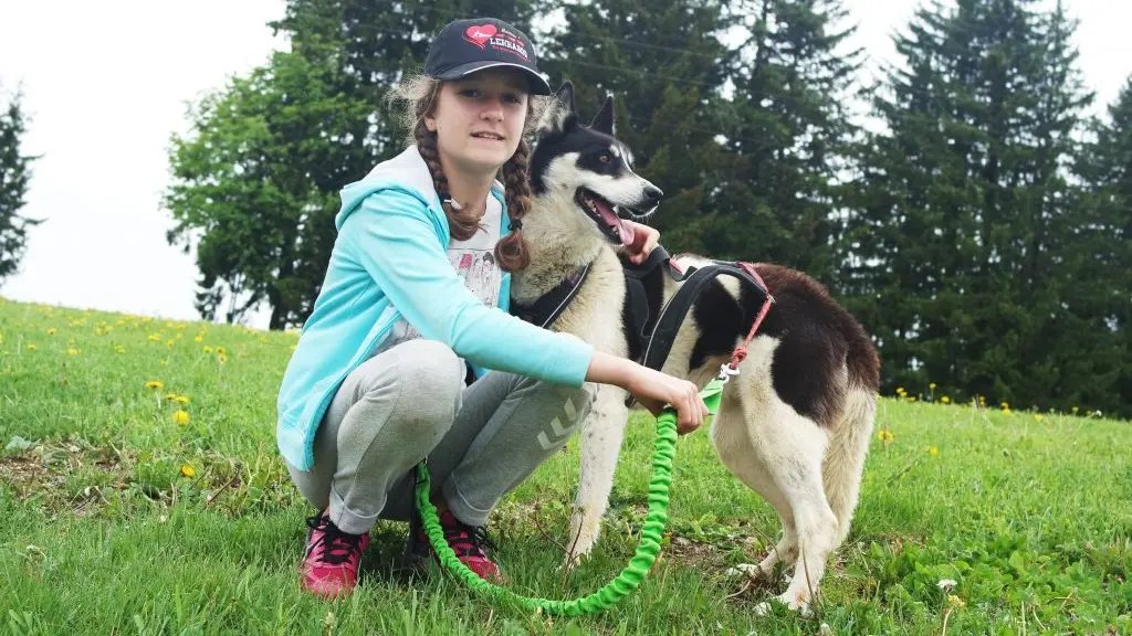 enfant avec chien  en rando