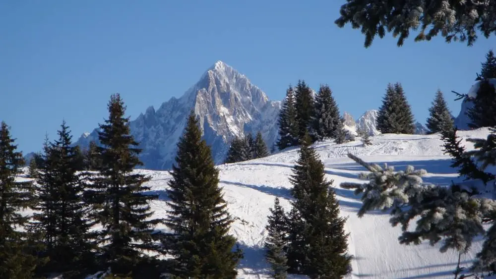 Les Clarines-Leporati 18