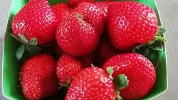 Fraises