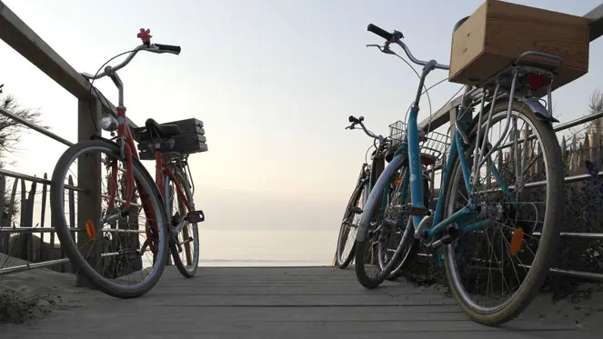 Les Cycles N - Île de Ré