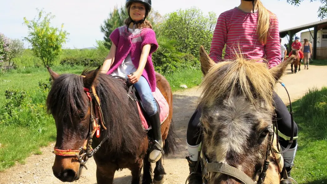 Domaine équestre des Bastides