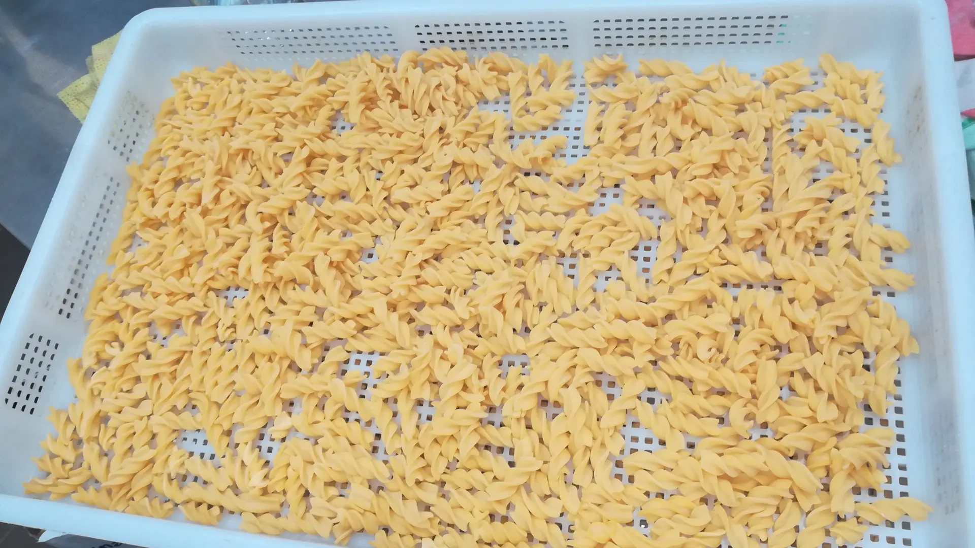 Pâtes fraîches