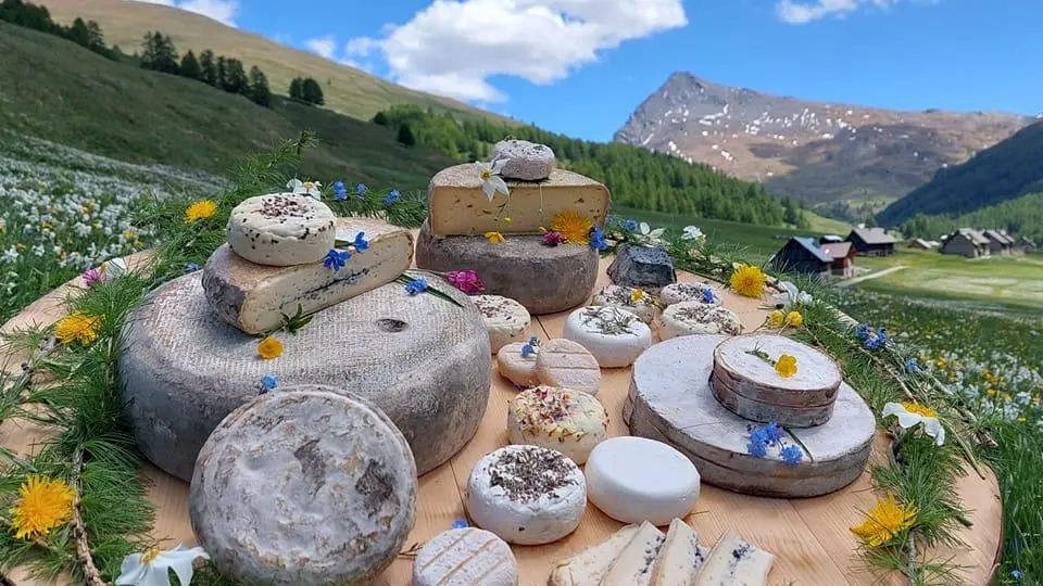 Notre plateau de fromages Vache et Chèvre