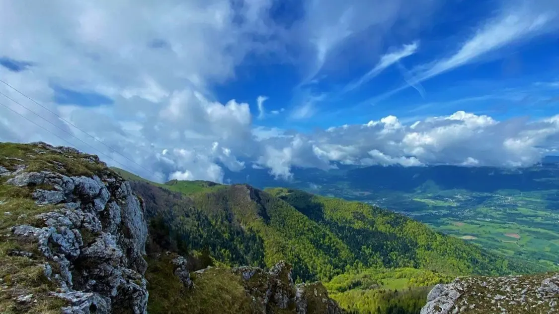 Le Grand Colombier