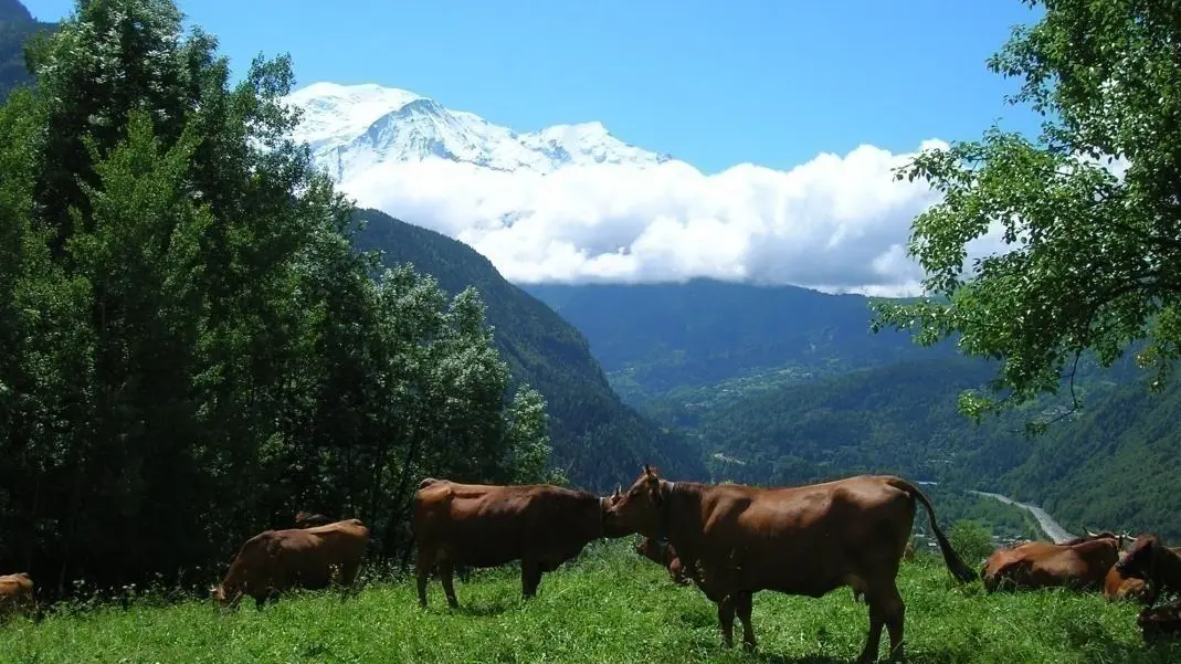 Sur les hauteurs du village
