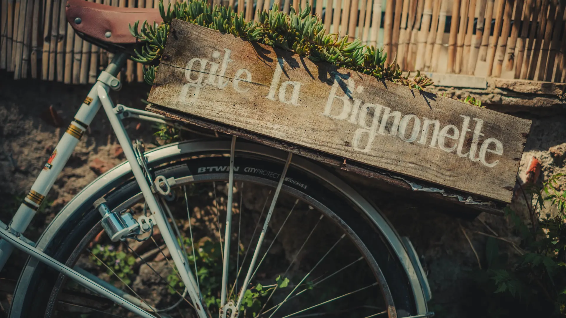 Gites les Pittoresques - La bignonette ruelle pittoresques - vue de détail