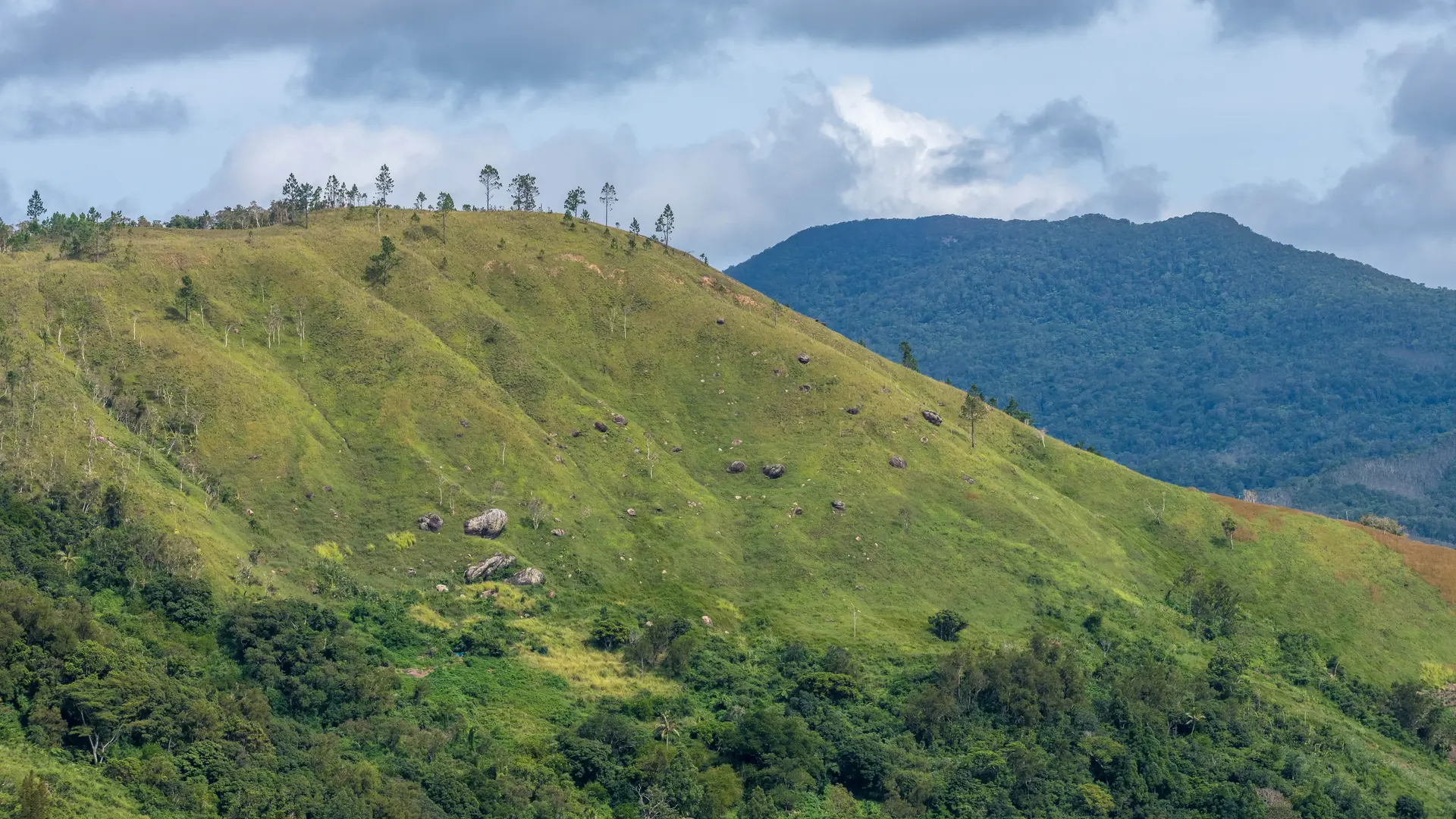 paysage, montagne, sud minier, canala, tribu d'Emma