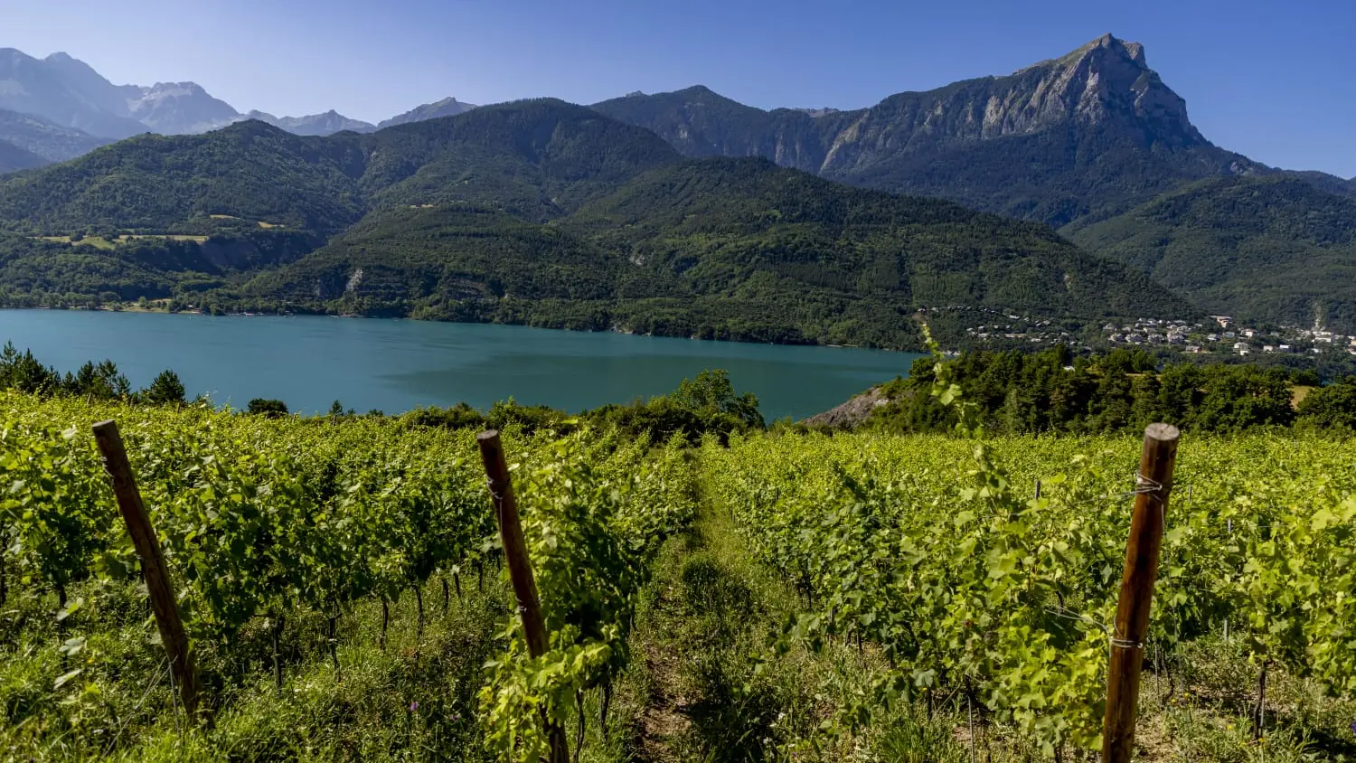 Vignes Entre Lac et Montagnes