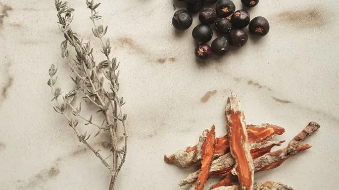 Charcuterie de légumes Ave Racine