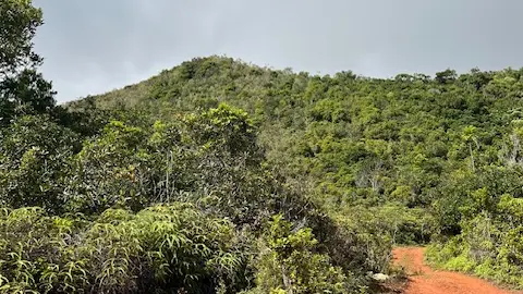 Sentier de la cascade
