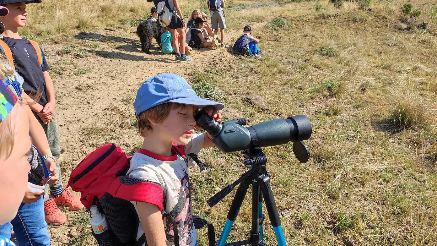 La Fontaine de l'Ours