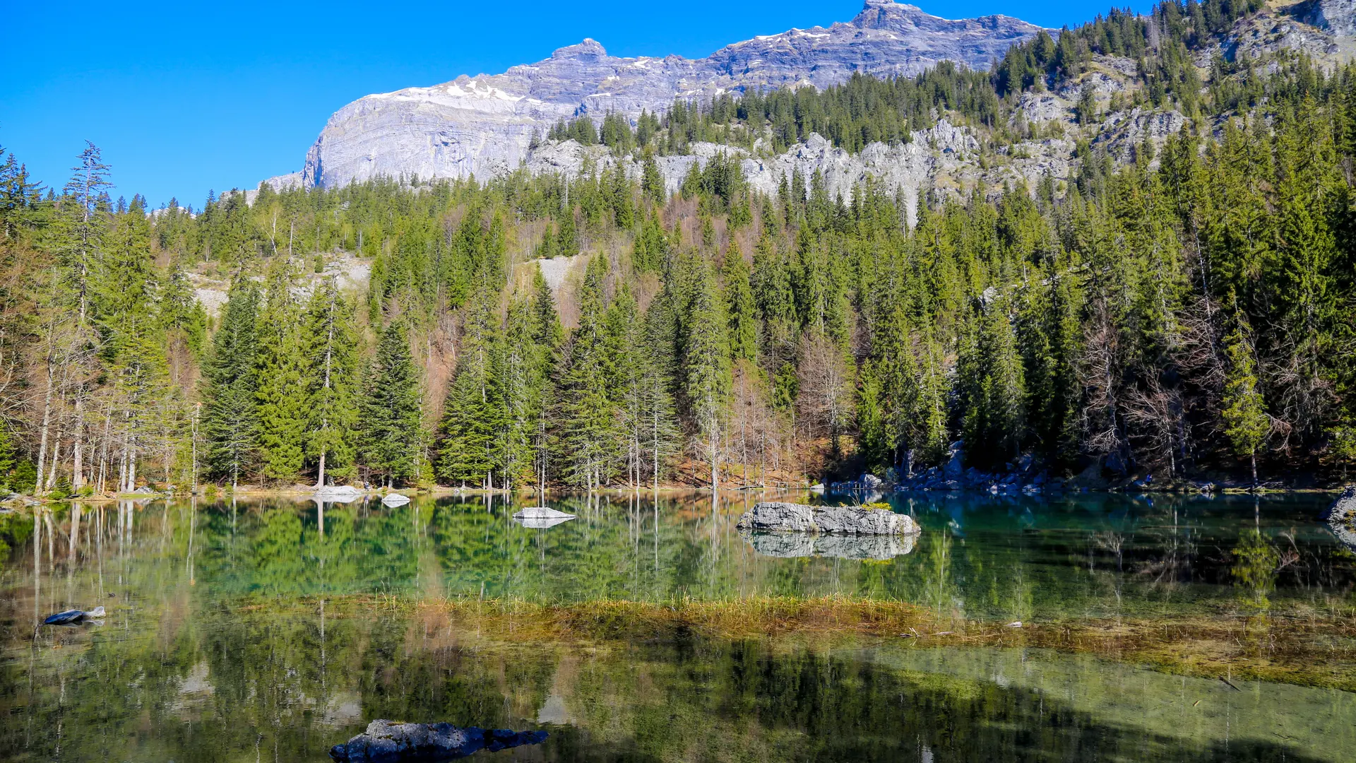 Randonnée Lac Vert