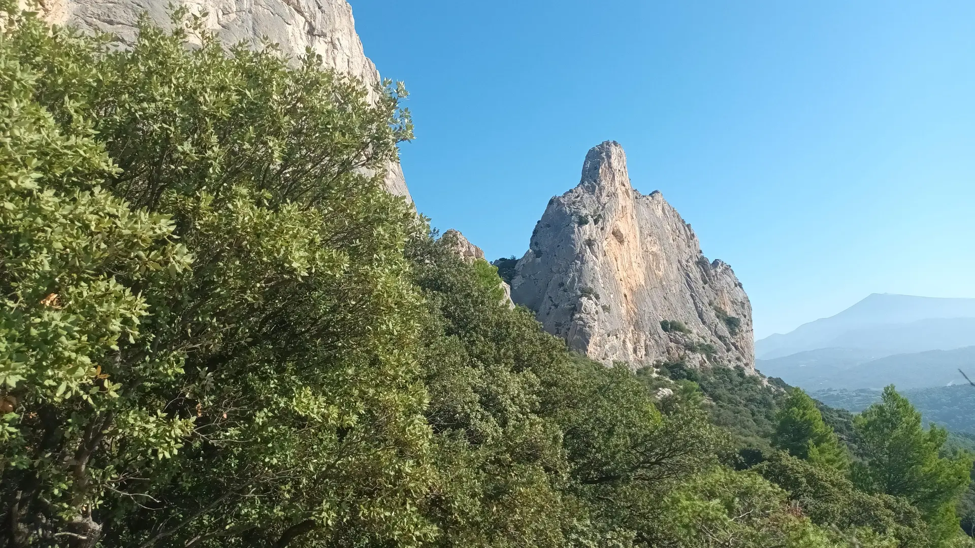 Dentelles de Montmirail