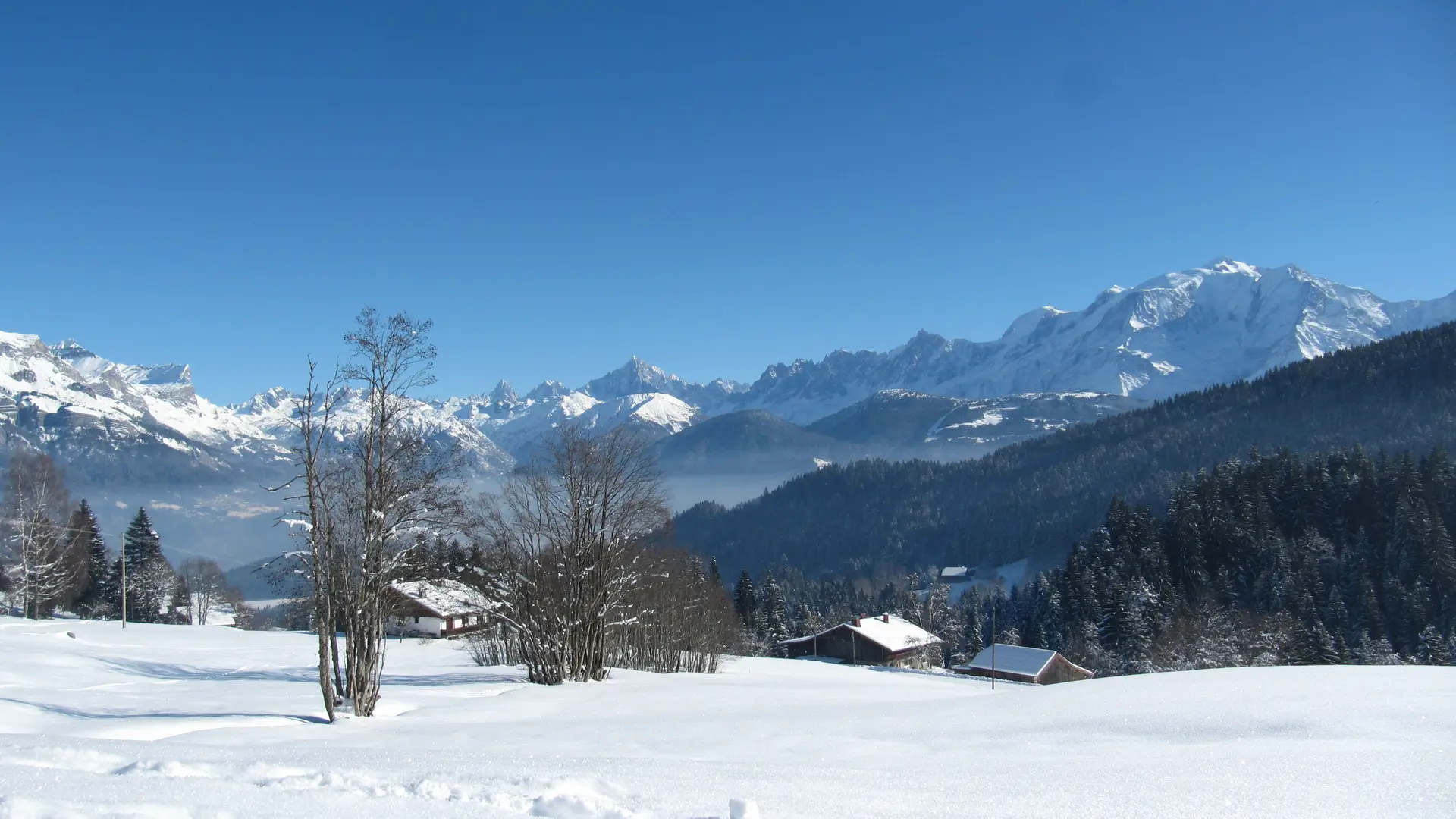 Chemin raquette en face du Mont-Blanc
