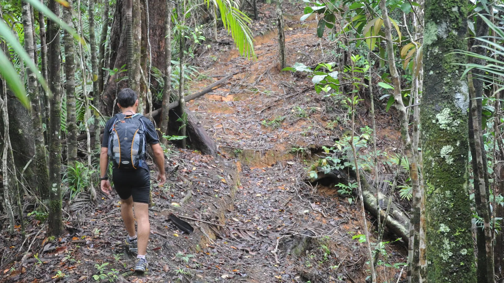 Montée vers le col des Ananas