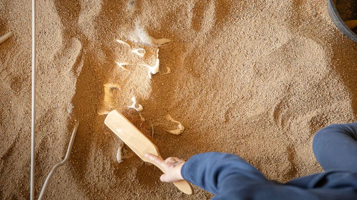 Paléopolis, la colline aux dinosaures_Gannat