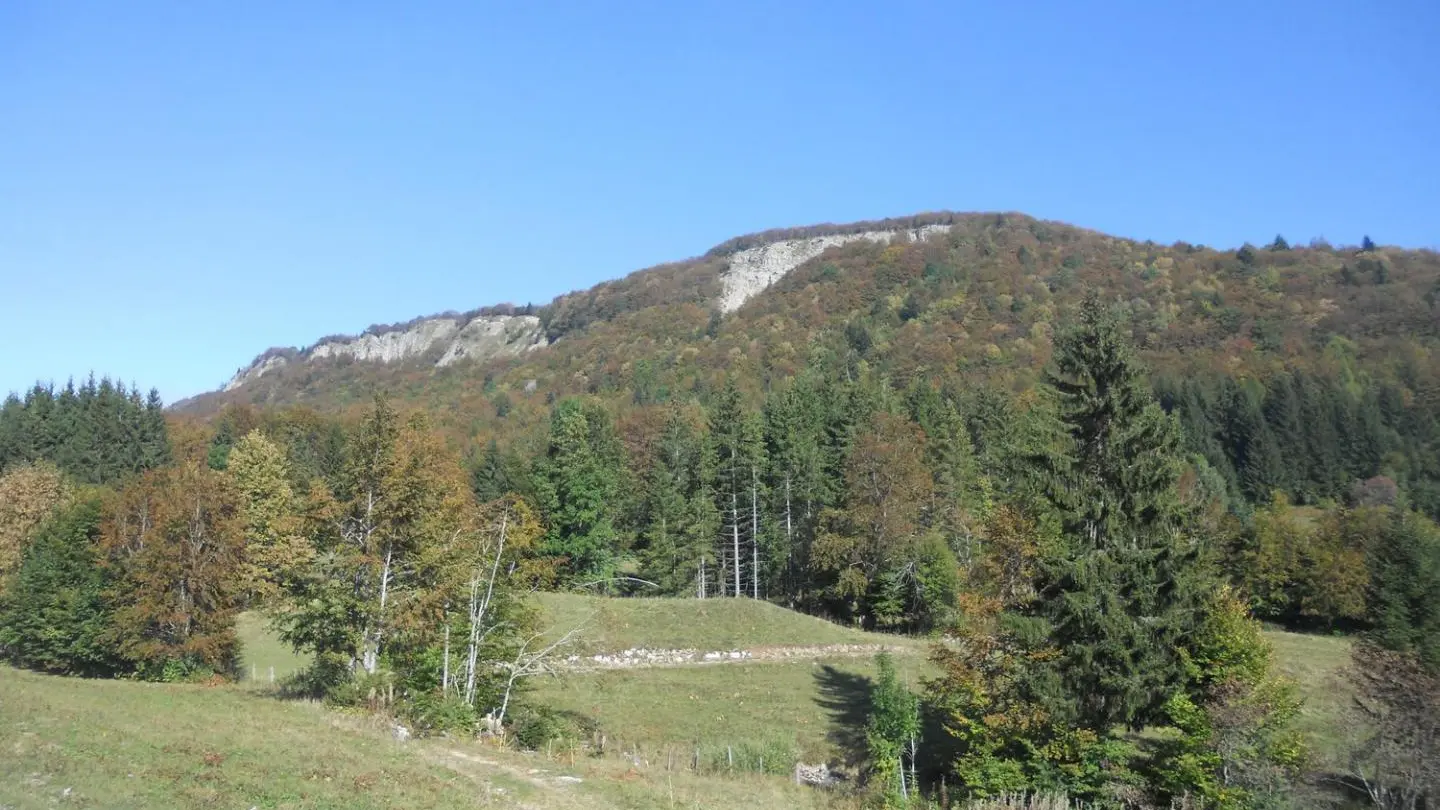 Vue depuis le gîte