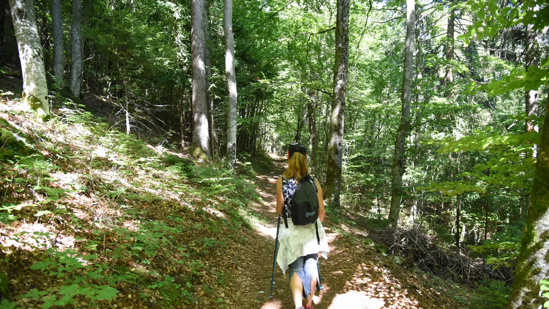 chemin forestier pour l'accès à la Pierre à Voix