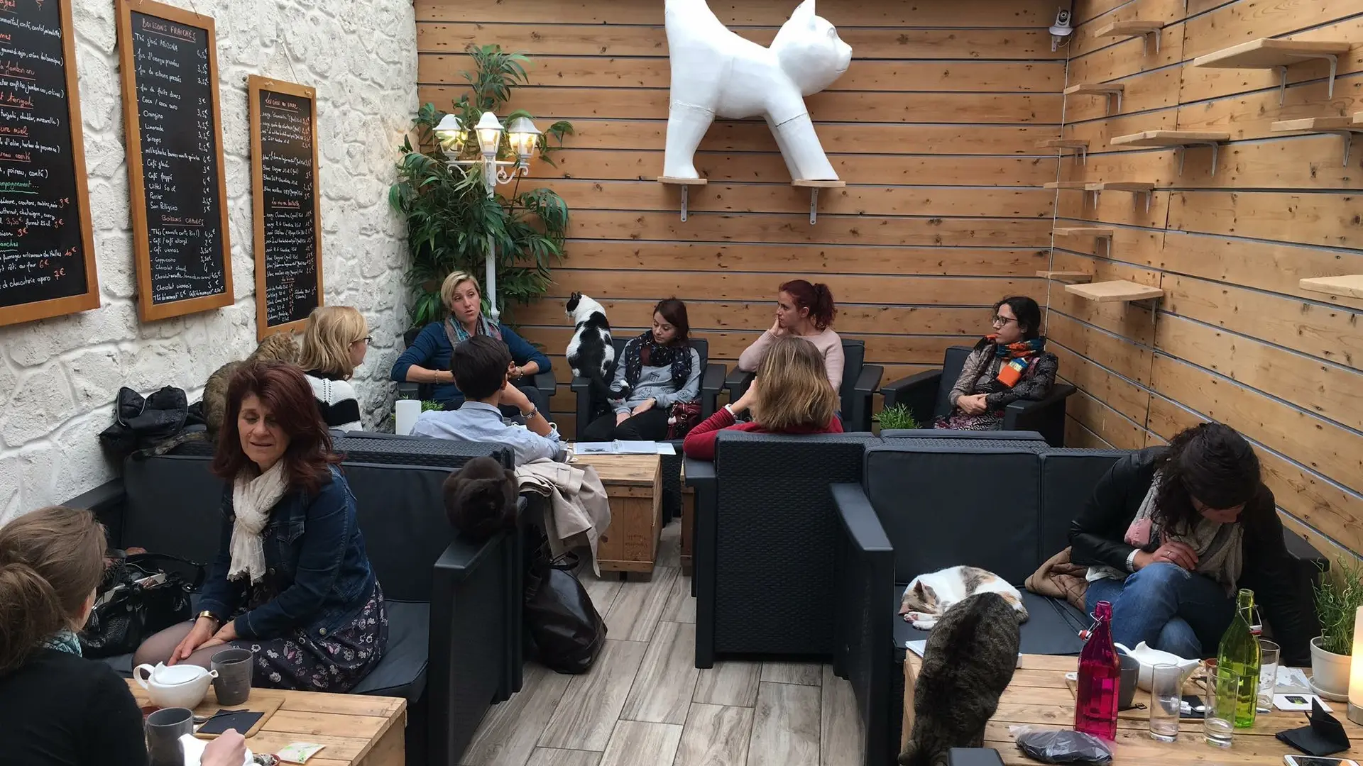 La Compagnie des Chats