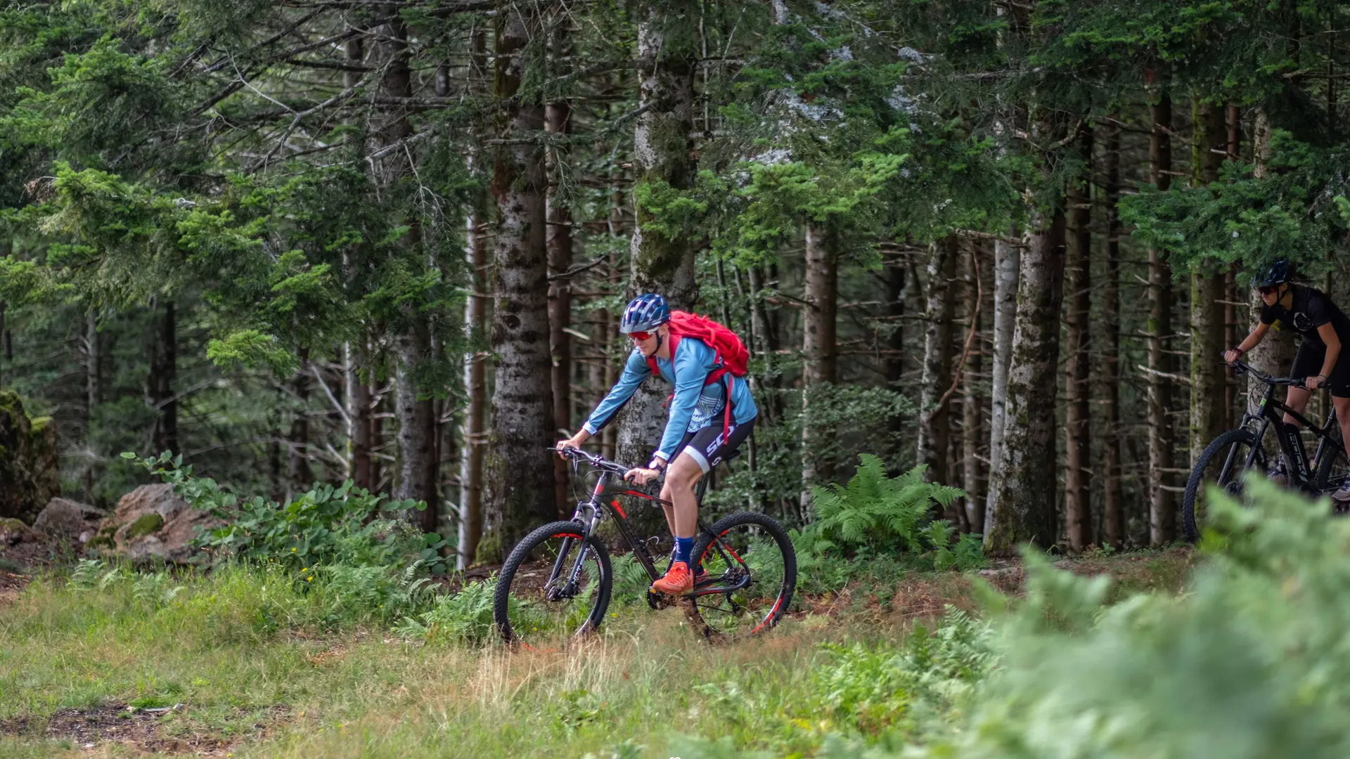 VTT en forêt domaniale de l'Assise