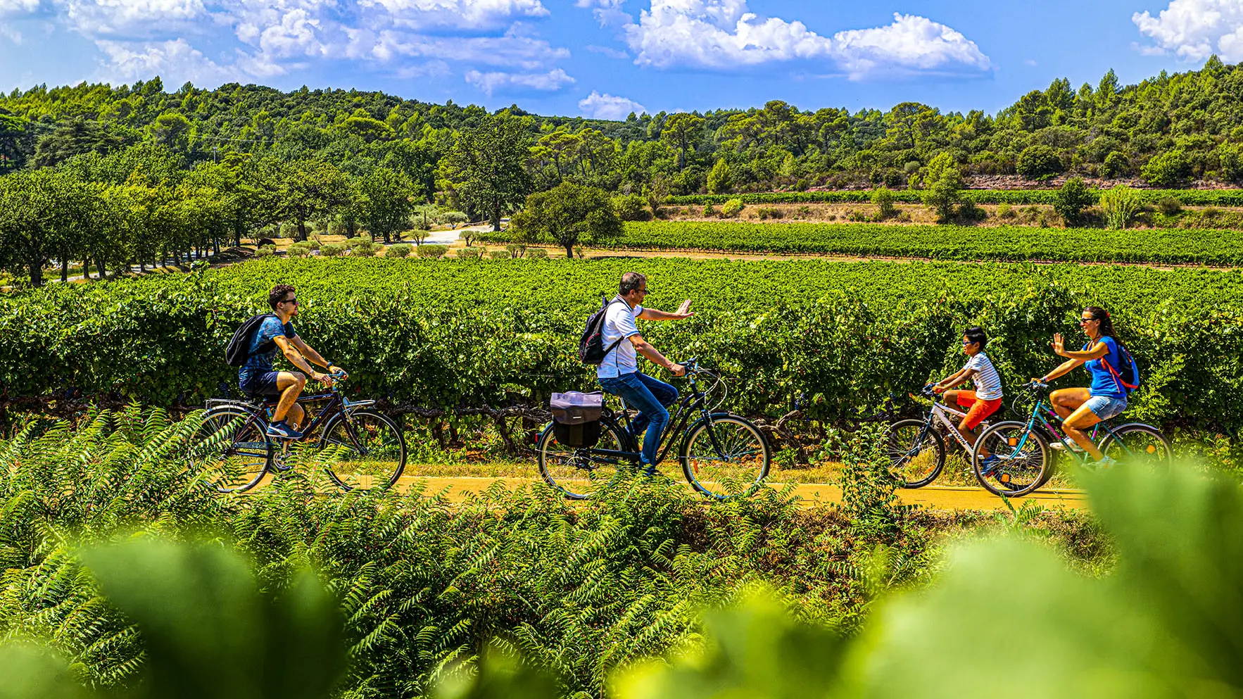 La Vigne à Vélo