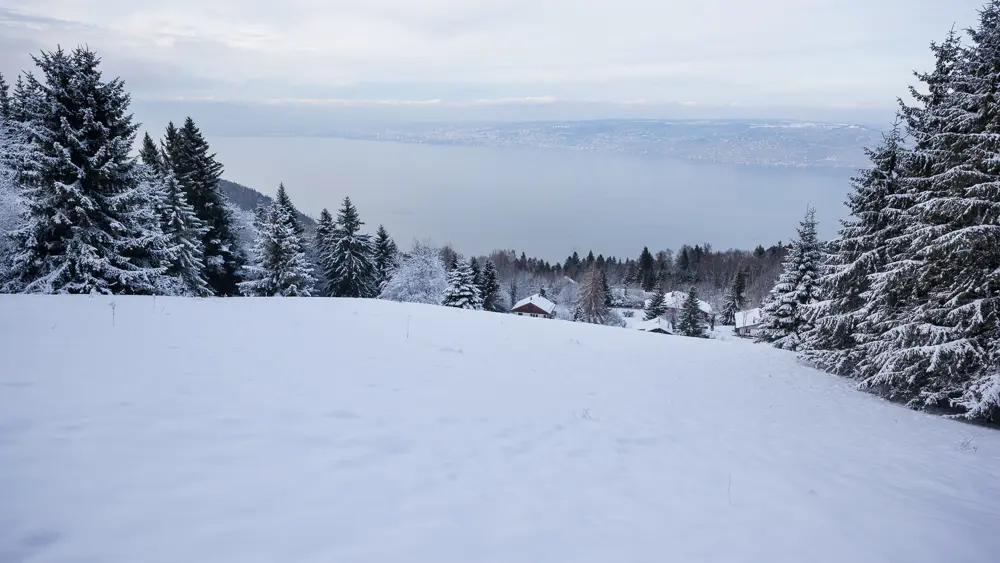 Découverte en raquettes de Thollon et de ses alentours